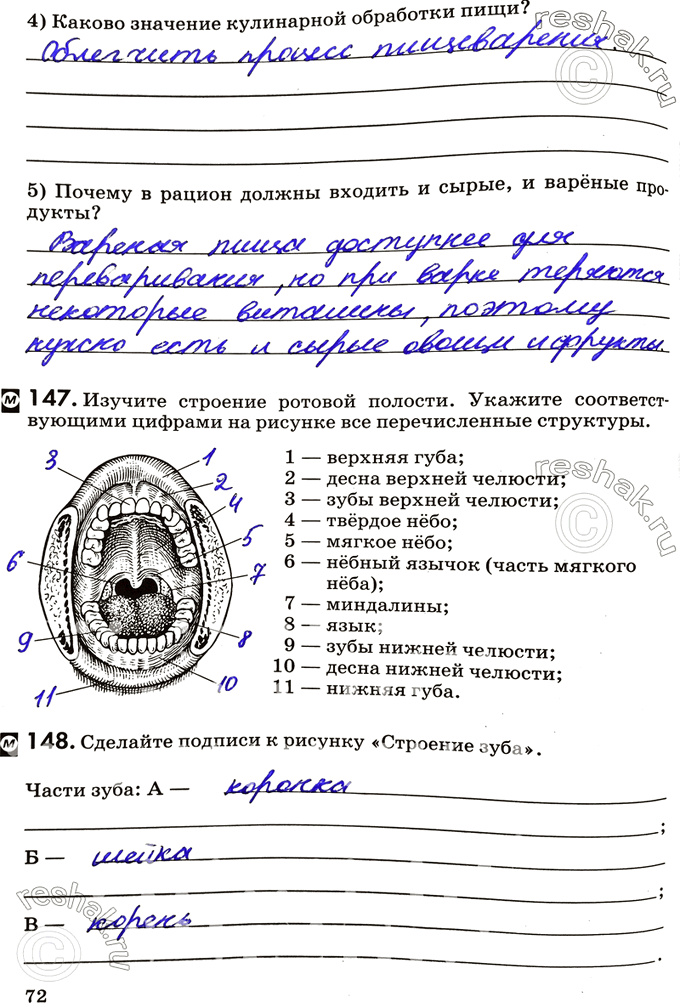 Изображение 4) Каково значение кулинарной обработки пищи?5) Почему в рацион должны входить и сырые, и варёные продукты?147. Изучите строение ротовой полости. Укажите...